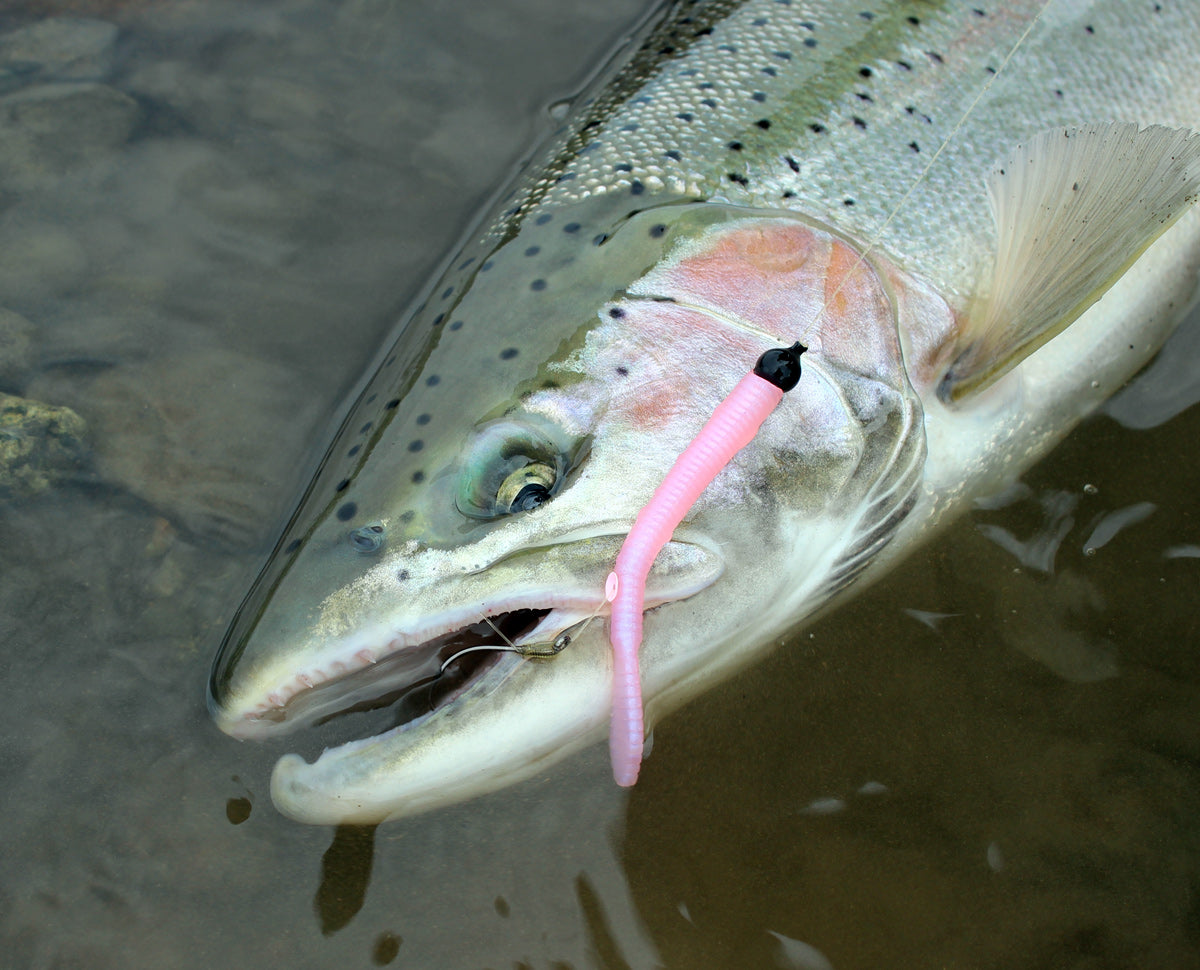 Vedder river – Reel North Gear